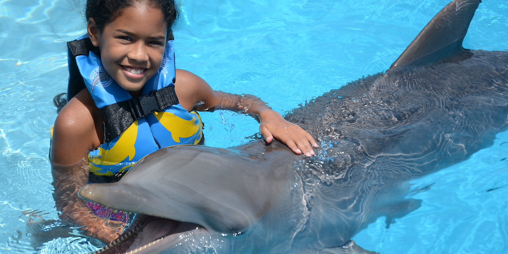 sidSwimWithDophins